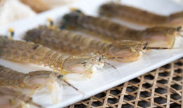 皮皮虾短视频,轻松娱乐，畅享生活瞬间