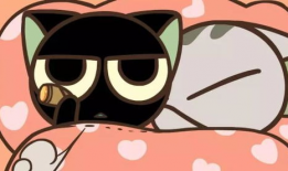 罗小黑战记动漫,奇幻世界中的成长之旅