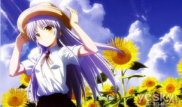 动漫白发,探寻动漫世界的无尽魅力