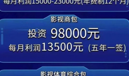 短视频 投资,揭秘流量变现新趋势