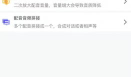 短视频类型,捕捉瞬间，演绎精彩