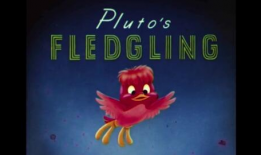 DISNEY动画短视频,梦幻世界里的奇幻之旅