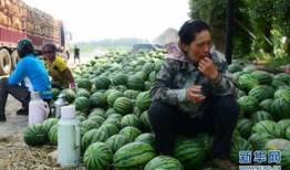 嘉善县吃瓜爆料案件,揭秘背后真相与争议