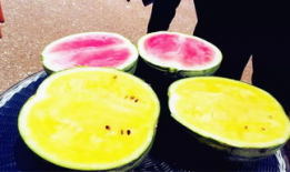 哪里有最新的吃瓜爆料,揭秘最新吃瓜爆料，热点事件一网打尽！