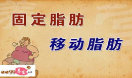 肥胖的危害高清短视频