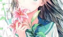 图片动漫高清,高清视觉盛宴